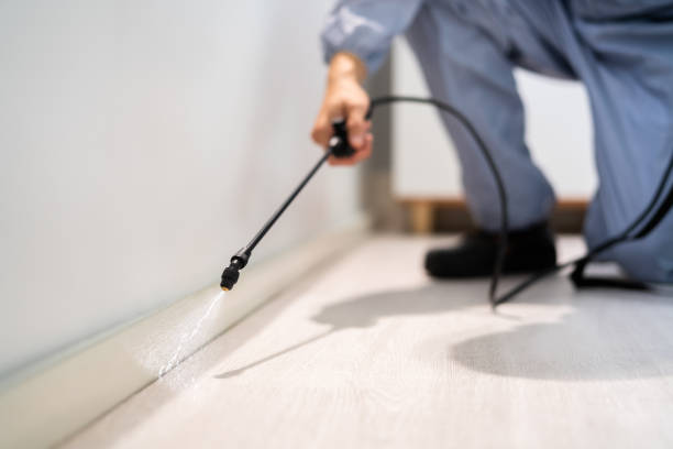 Licensed Fumigation Services service in Dawson County County, GA - Nex Pest Control